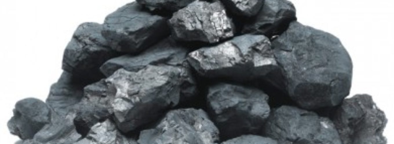 Dry Coal Nuts [30-40MM] Agric